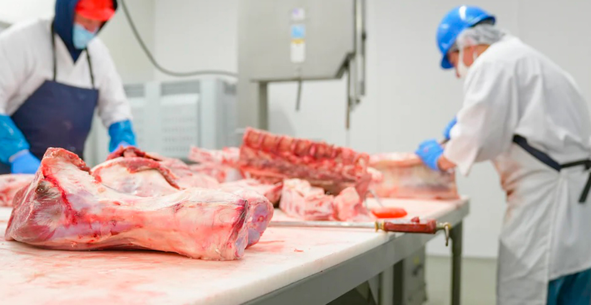 frio industrial industria cárnica